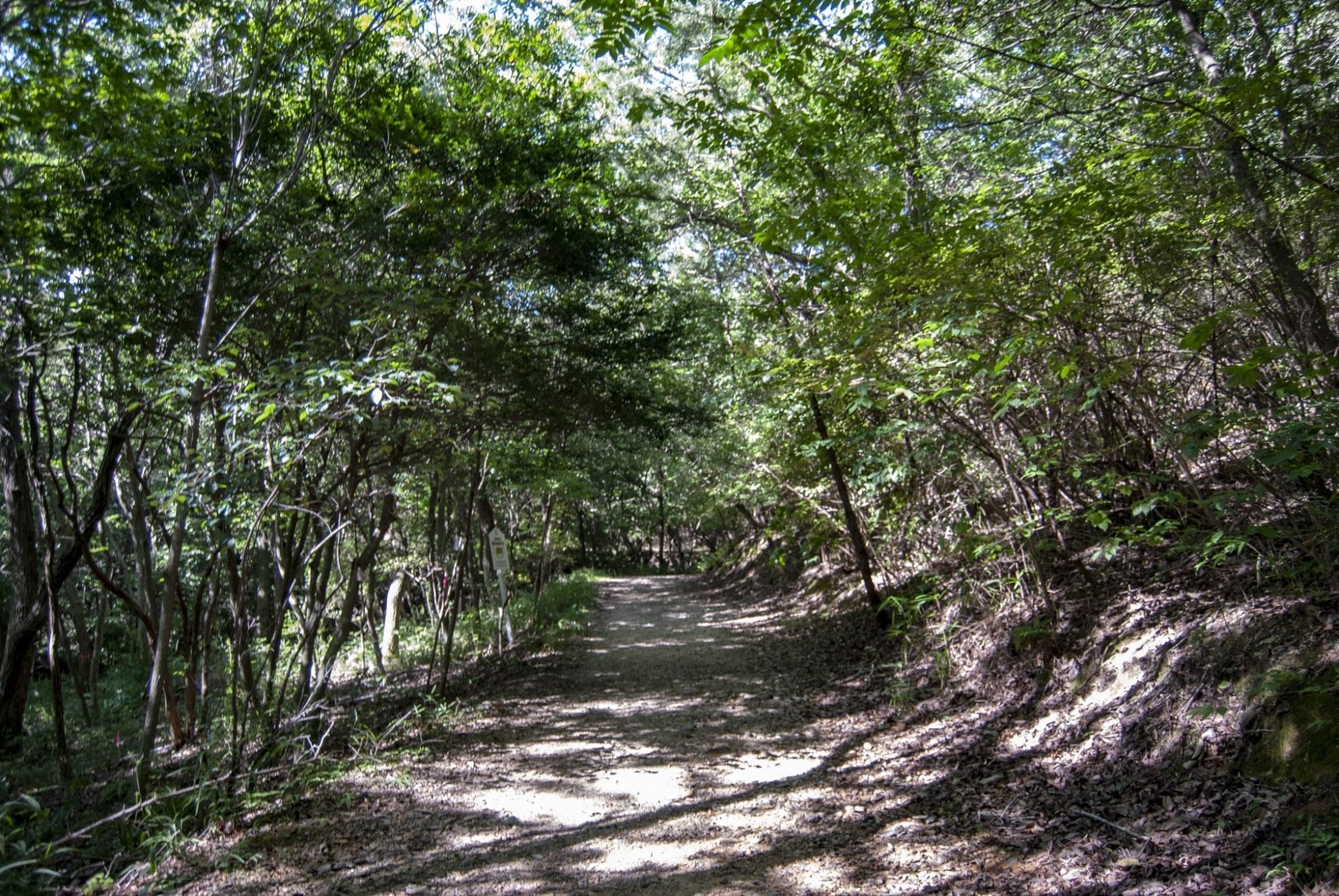 🌳 미키야마 삼림공원 (효고현립 미키야마신린코엔)